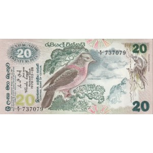 20 Rupees