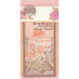 100 Rupees