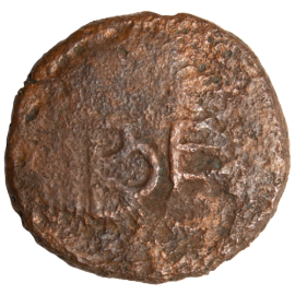 Copper Coins (12)
